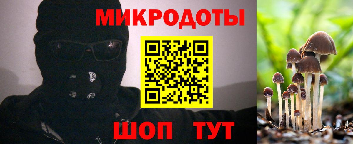 Галлюциногенные грибы Cubensis Вятские Поляны